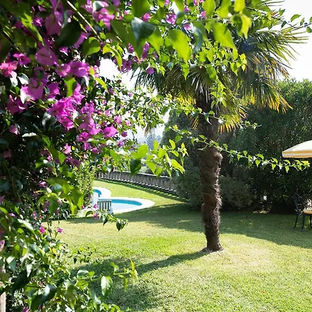 Campo Medas , En Medio De La Naturaleza Con Piscina Privada De Sal Villa Gondomar