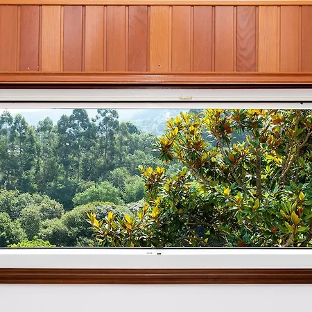 Campo Medas , En Medio De La Naturaleza Con Piscina Privada De Sal Gondomar