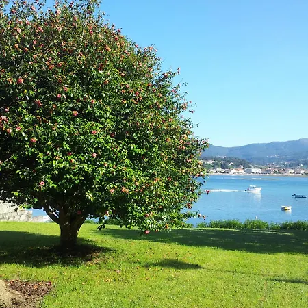 Campo Medas , En Medio De La Naturaleza Con Piscina Privada De Sal Villa Gondomar