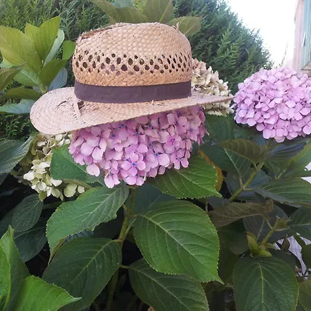 Villa Campo Medas , En Medio De La Naturaleza Con Piscina Privada De Sal Gondomar
